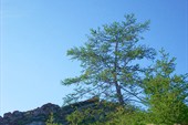 08_09 (2)